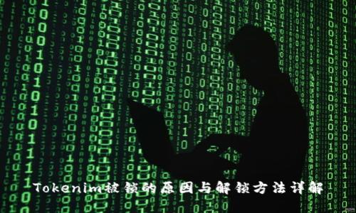 Tokenim被锁的原因与解锁方法详解