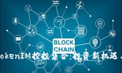 深入解析TokenIM控投集合：投资新机遇与风险管理