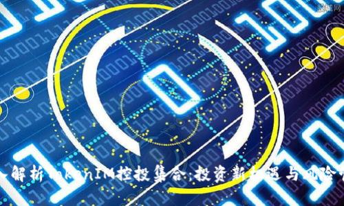 深入解析TokenIM控投集合：投资新机遇与风险管理