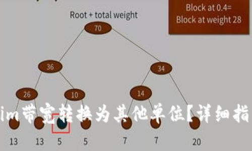 如何将Tokenim带宽转换为其他单位？详细指南与实用技巧