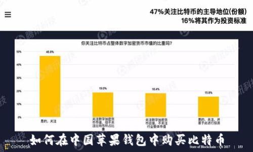  
如何在中国苹果钱包中购买比特币