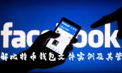 深入了解比特币钱包文件实例及其管理技巧
