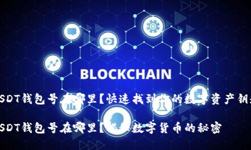 USDT钱包号在哪里？快速找到你的数字资产钥匙

USDT钱包号在哪里？揭秘数字货币的秘密