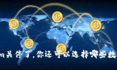 思考  如果Tokenim关停了，你还可以选择哪些数字