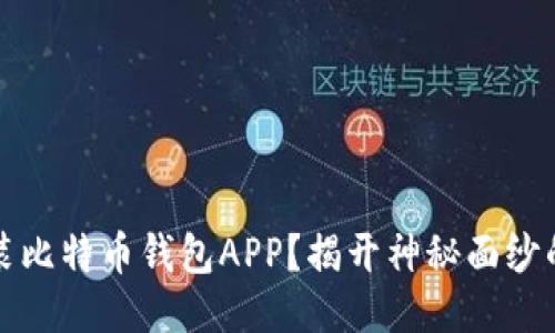 如何轻松安装比特币钱包APP？揭开神秘面纱的步骤与技巧