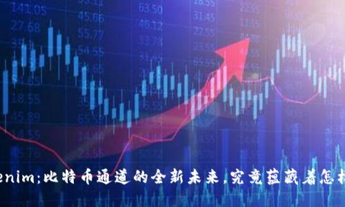 揭秘Tokenim：比特币通道的全新未来，究竟蕴藏着怎样的机遇？