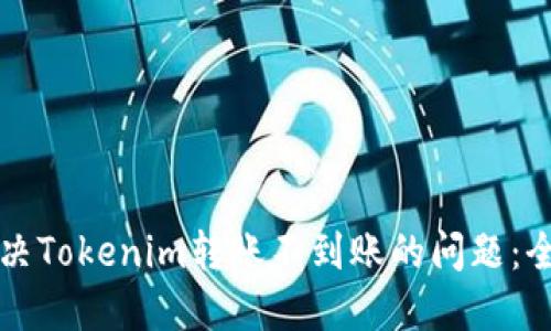 如何解决Tokenim转账不到账的问题：全面指南