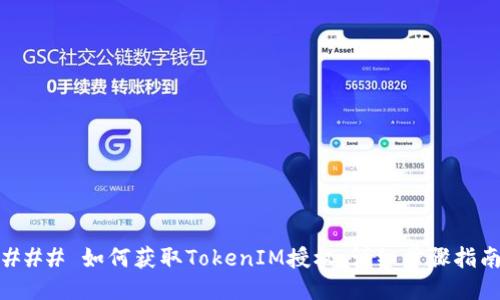 ### 如何获取TokenIM授权：详细步骤指南