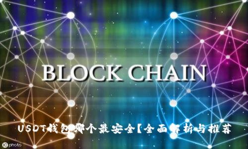 USDT钱包哪个最安全？全面解析与推荐