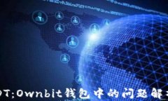 径失去的USDT：Ownbit钱包中的问题解析与解决方案