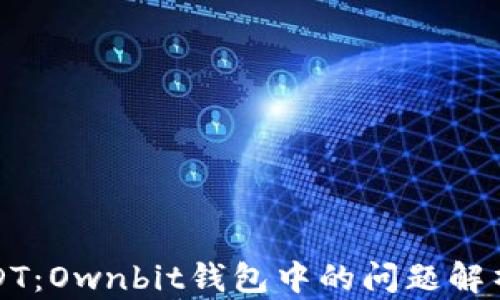 径失去的USDT:Ownbit钱包中的问题解析与解决方案