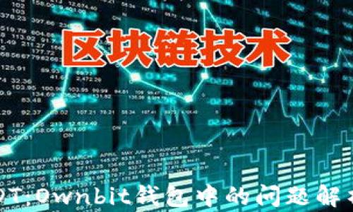 
径失去的USDT：Ownbit钱包中的问题解析与解决方案