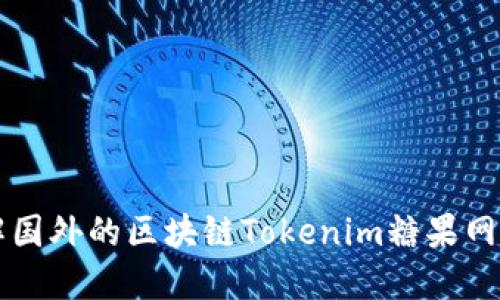 深入了解国外的区块链Tokenim糖果网及其潜力