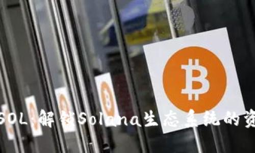 麦子钱包支持SOL：解锁Solana生态系统的资产管理新体验