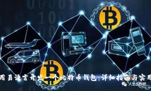 如何用易语言开发一个比特币钱包：详细指南与实用技巧