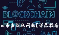 如何解决Tokenim币未到账问题？详尽指南与常见解
