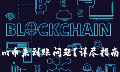 如何解决Tokenim币未到账问题？详尽指南与常见解决方案