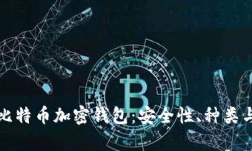 全面解析比特币加密钱包：安全性、种类与最佳实践