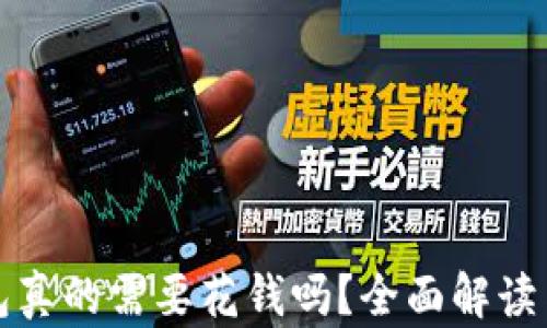 
比特币钱包真的需要花钱吗？全面解读与投资建议