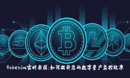 Tokenim实时截图：如何提升您的数字资产监控效率