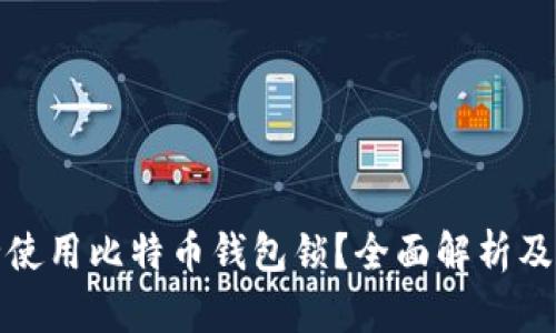 如何安全使用比特币钱包锁？全面解析及安全建议